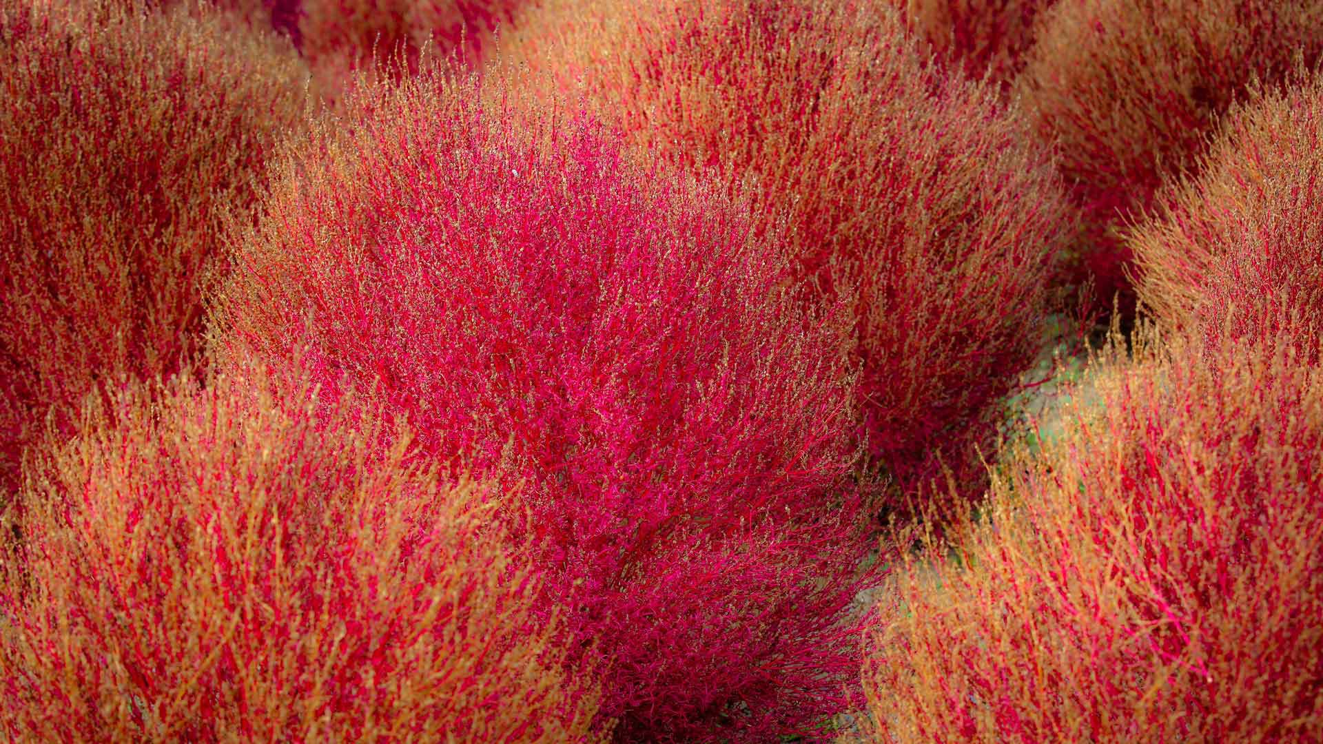 工具系统与 LLM 集成